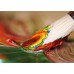 Umbrella Painting Workshop
